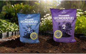 Wonderfuel